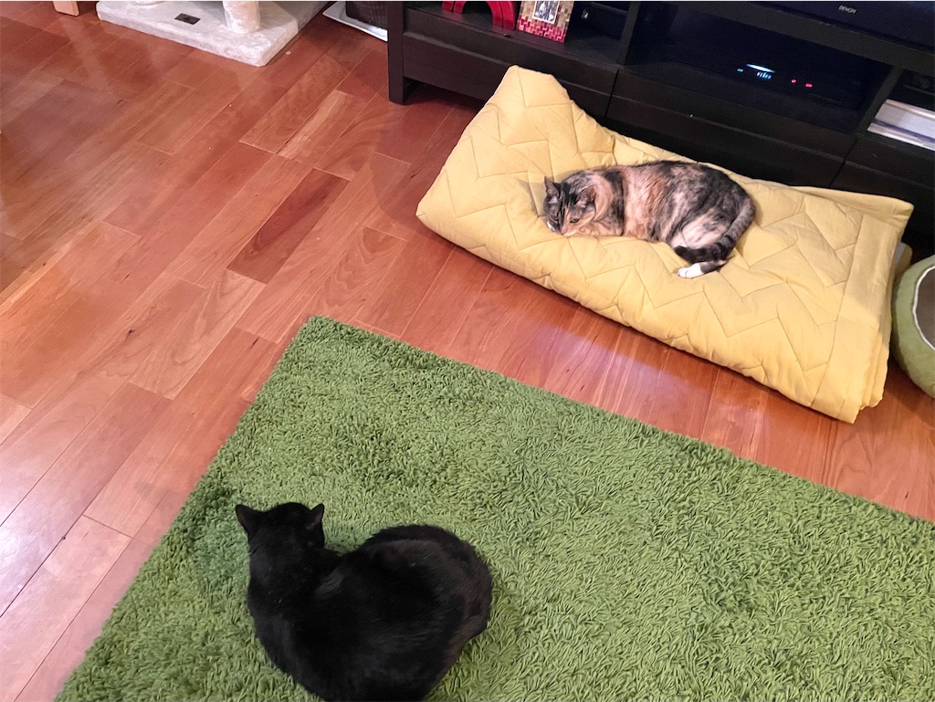 f:id:hiraryo0201:20210614072253j:image f:id:hiraryo0201:20210614072253j:image