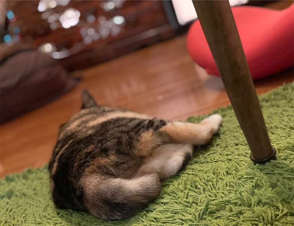 f:id:hiraryo0201:20210622072923j:image f:id:hiraryo0201:20210622072923j:image