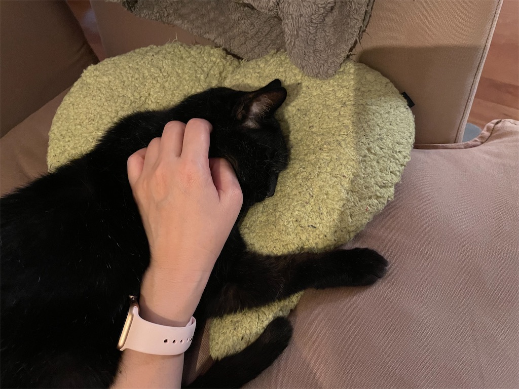 f:id:hiraryo0201:20210622072927j:image f:id:hiraryo0201:20210622072927j:image