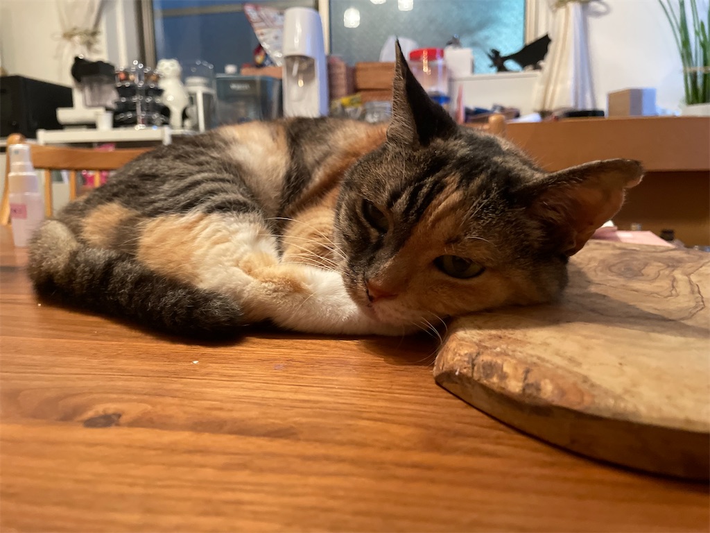 f:id:hiraryo0201:20210623221628j:image f:id:hiraryo0201:20210623221628j:image