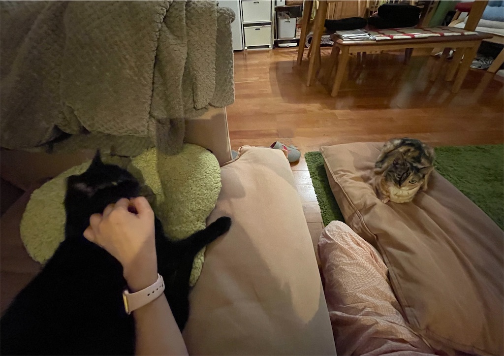 f:id:hiraryo0201:20210624124222j:image f:id:hiraryo0201:20210624124222j:image