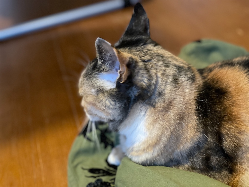 f:id:hiraryo0201:20210626074028j:image f:id:hiraryo0201:20210626074028j:image