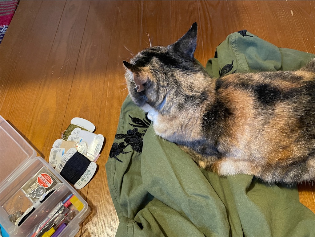 f:id:hiraryo0201:20210626074033j:image f:id:hiraryo0201:20210626074033j:image