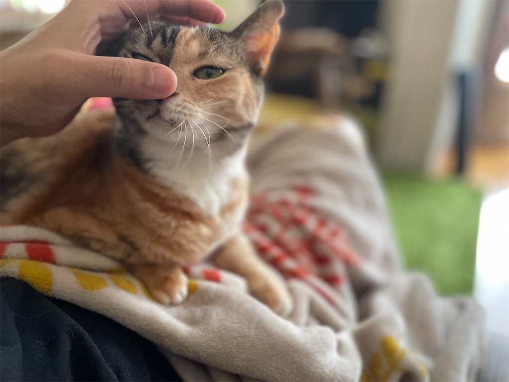 f:id:hiraryo0201:20210628224310j:image