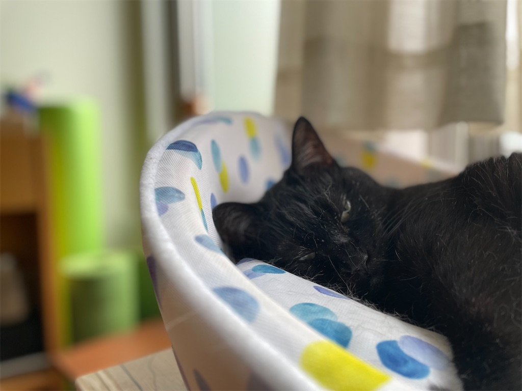 f:id:hiraryo0201:20210628224325j:image