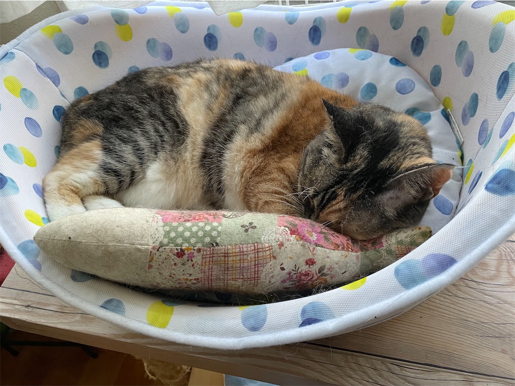 f:id:hiraryo0201:20210628224348j:image