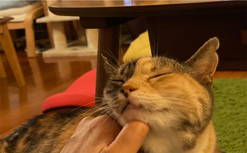 f:id:hiraryo0201:20210629123105j:image f:id:hiraryo0201:20210629123105j:image