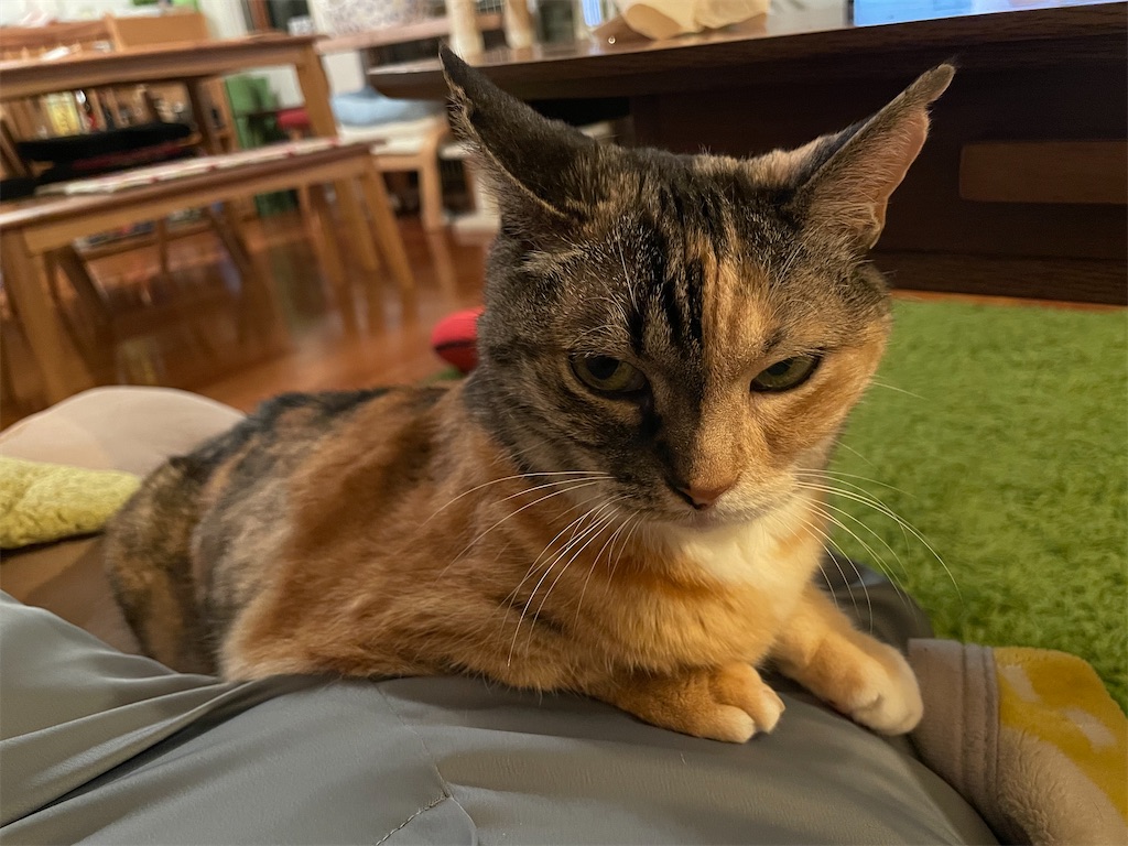 f:id:hiraryo0201:20210629123109j:image f:id:hiraryo0201:20210629123109j:image