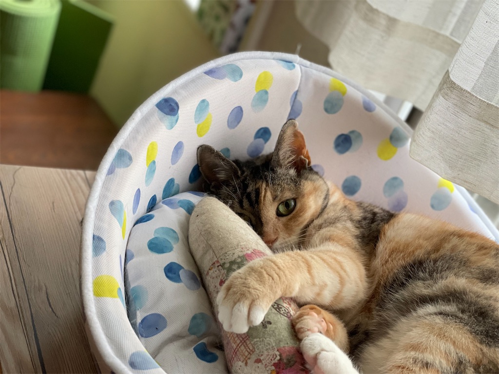 f:id:hiraryo0201:20210629123118j:image f:id:hiraryo0201:20210629123118j:image