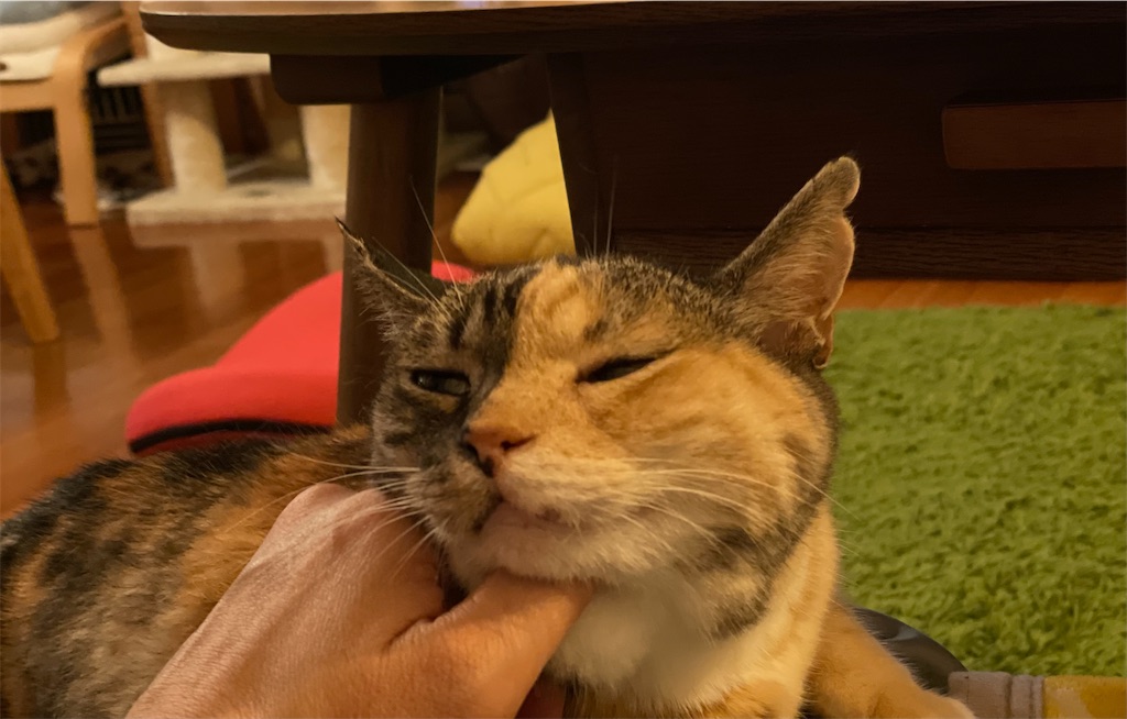 f:id:hiraryo0201:20210629123650j:image f:id:hiraryo0201:20210629123650j:image