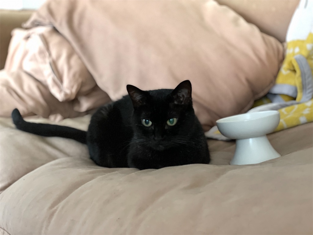 f:id:hiraryo0201:20210629124412j:image