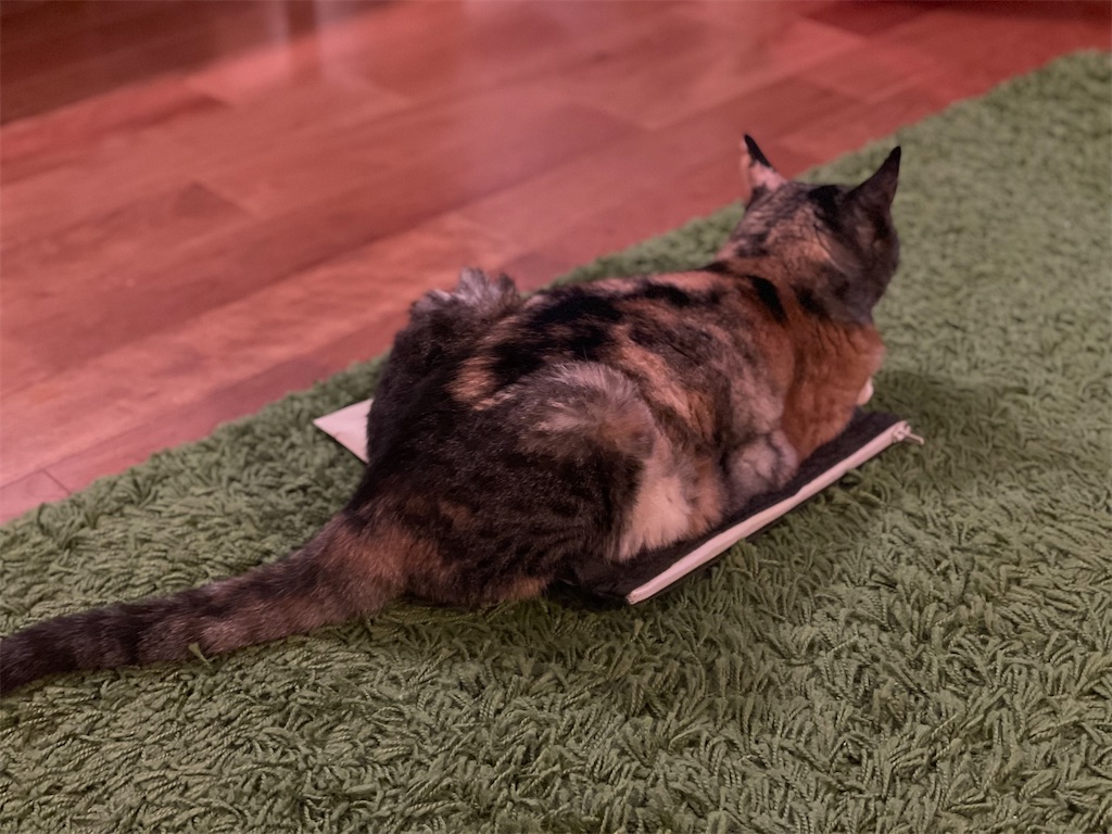 f:id:hiraryo0201:20210715220714j:image f:id:hiraryo0201:20210715220714j:image