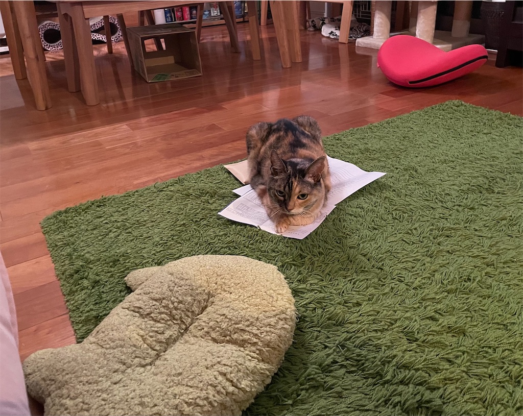 f:id:hiraryo0201:20210715220720j:image f:id:hiraryo0201:20210715220720j:image