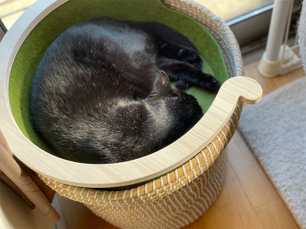 f:id:hiraryo0201:20210718172232j:image