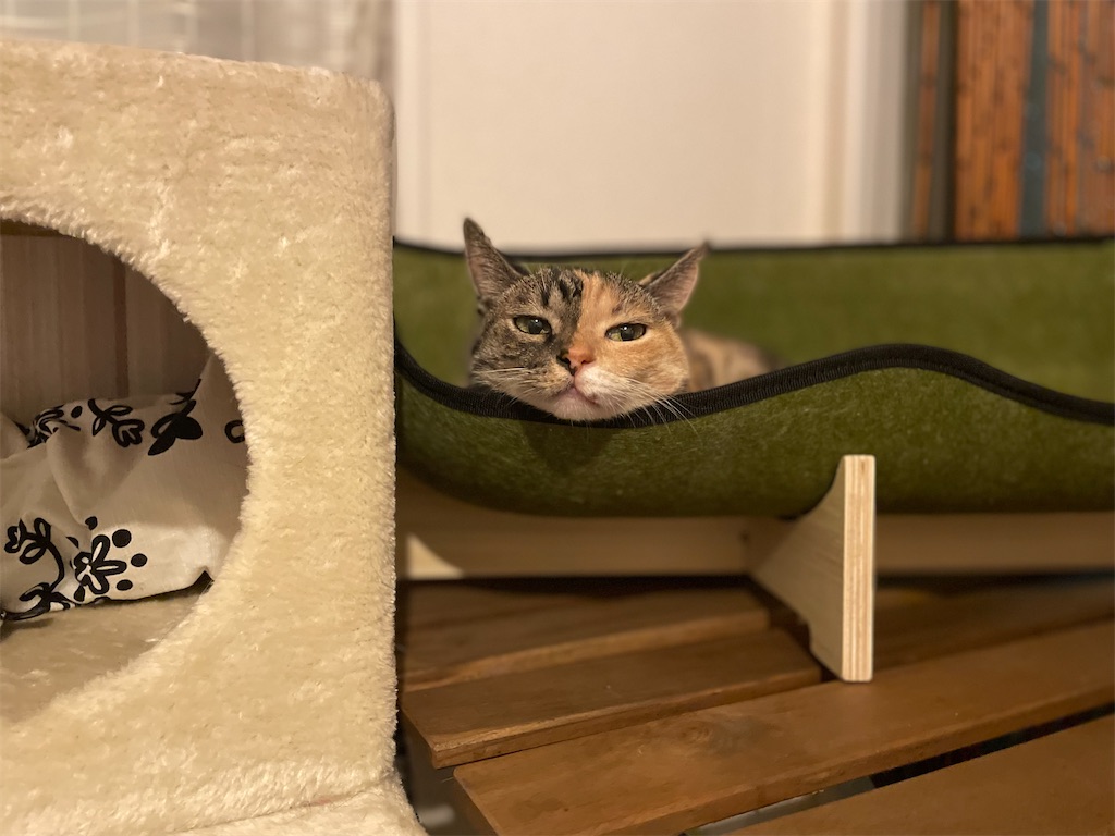 f:id:hiraryo0201:20210718172405j:image