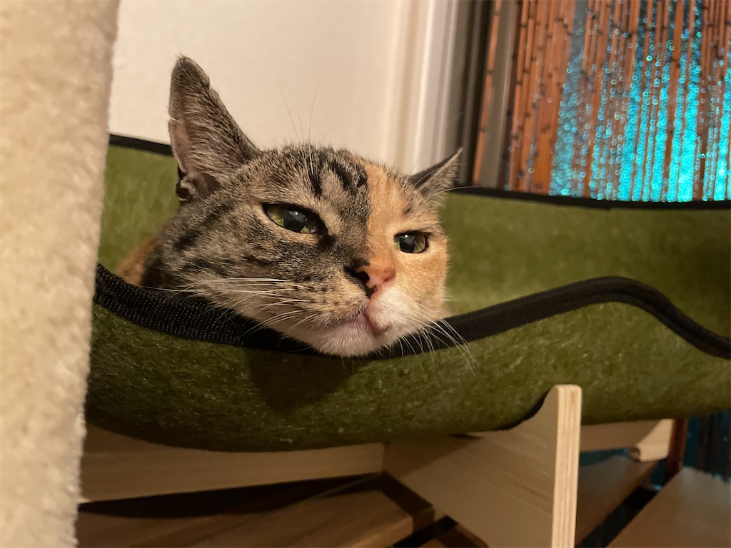 f:id:hiraryo0201:20210718182039j:image