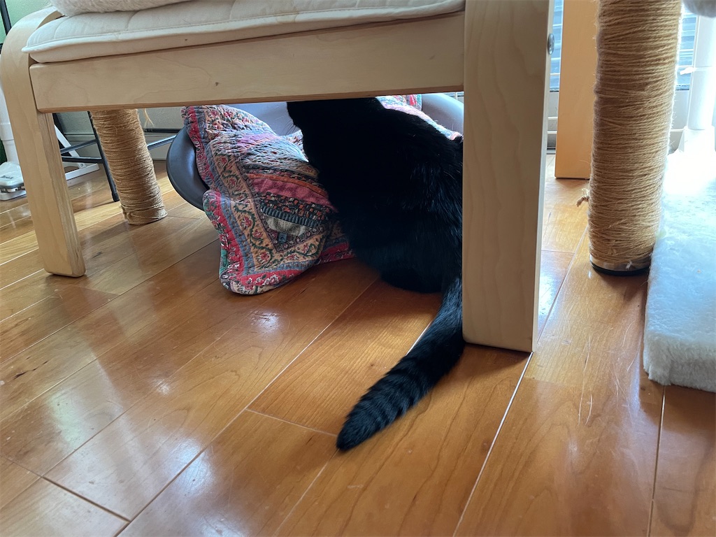 f:id:hiraryo0201:20210724201127j:image