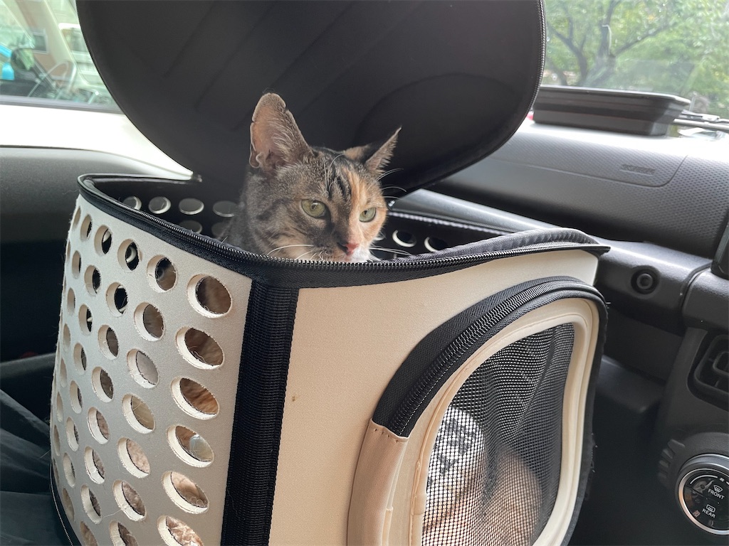 f:id:hiraryo0201:20210729173246j:image f:id:hiraryo0201:20210729173246j:image