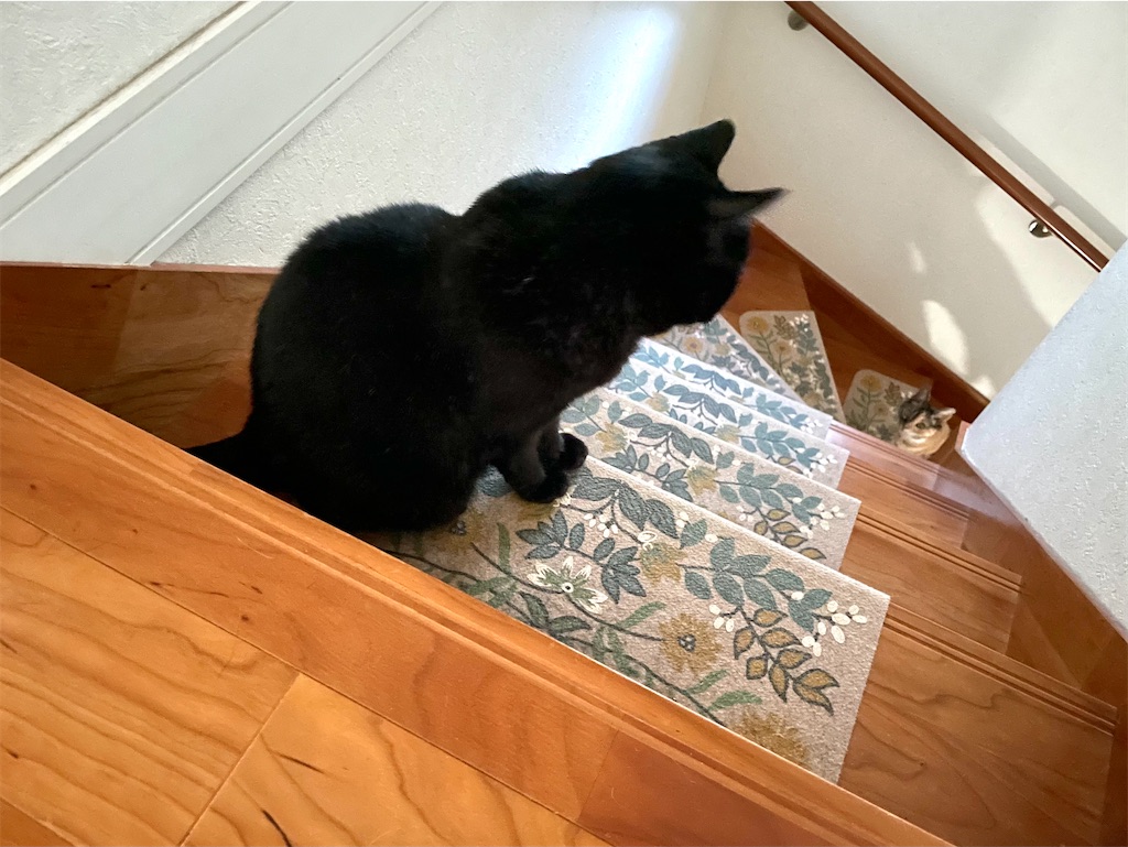 f:id:hiraryo0201:20210802234918j:image f:id:hiraryo0201:20210802234918j:image