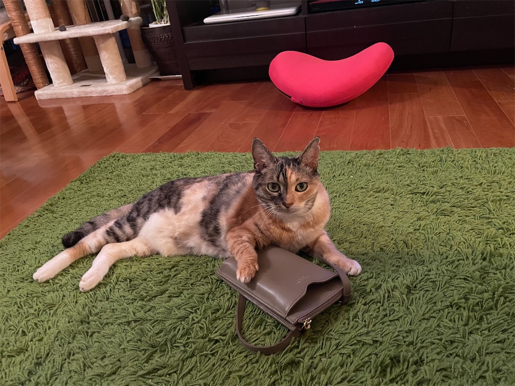 f:id:hiraryo0201:20210804170450j:image