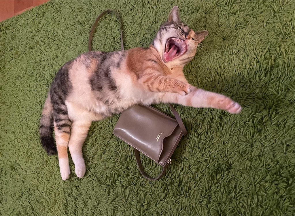 f:id:hiraryo0201:20210804170513j:image