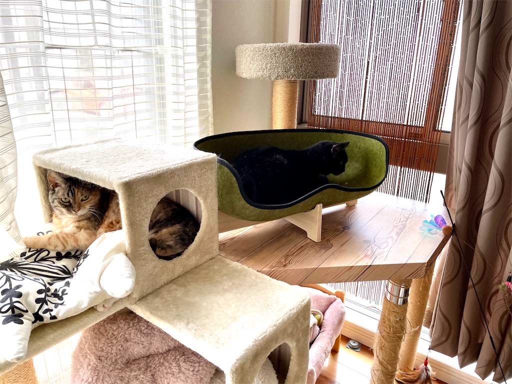 f:id:hiraryo0201:20210804192005j:image f:id:hiraryo0201:20210804192005j:image