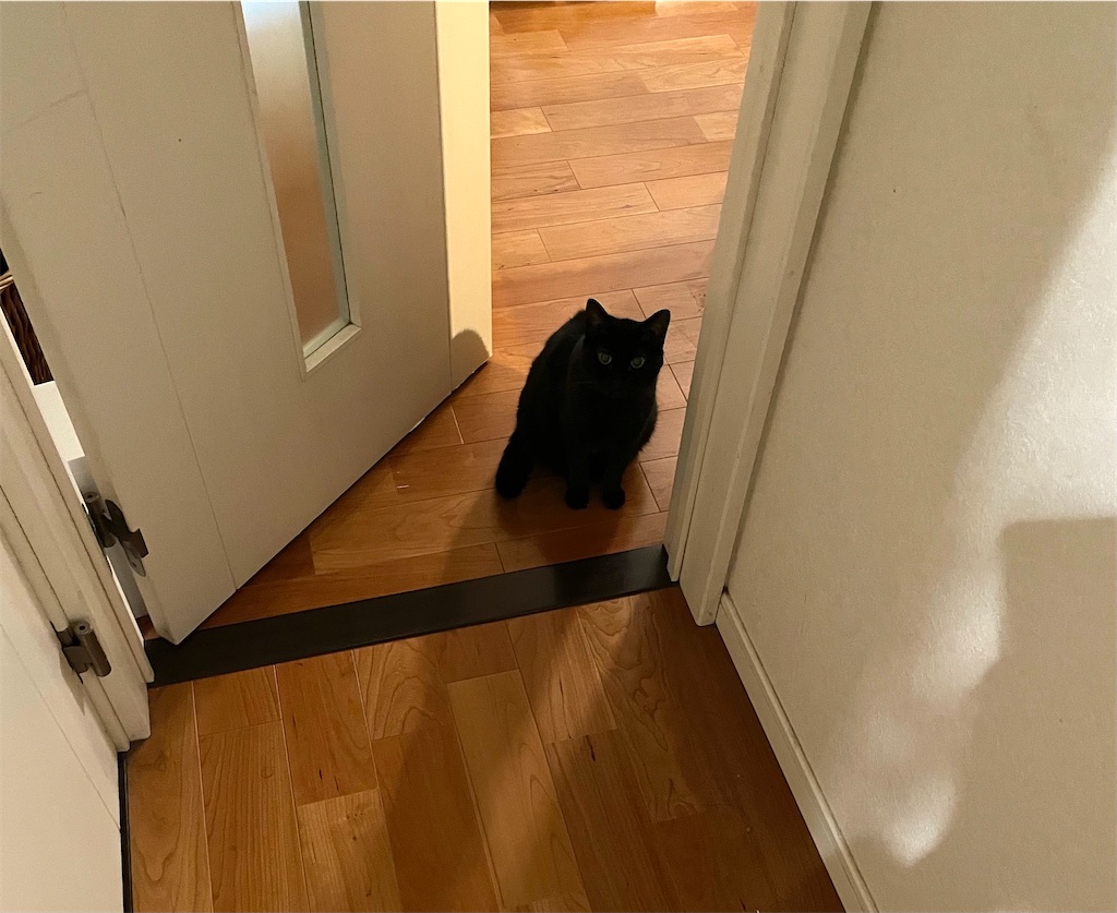 f:id:hiraryo0201:20210804192008j:image f:id:hiraryo0201:20210804192008j:image