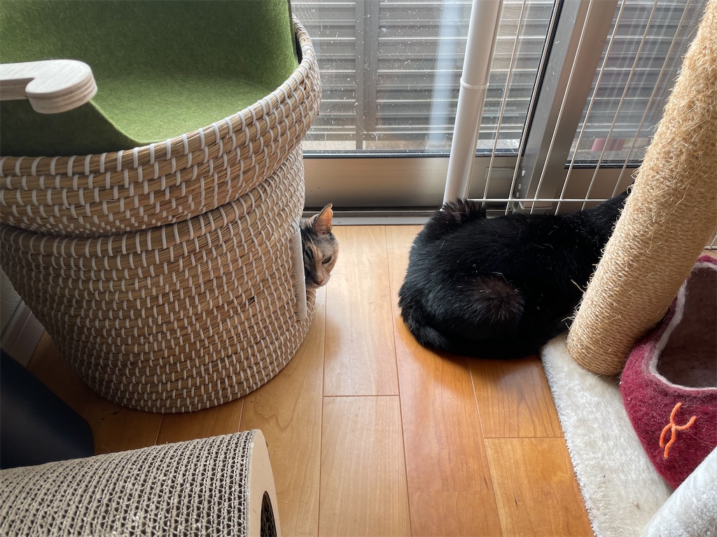 f:id:hiraryo0201:20210807230439j:image f:id:hiraryo0201:20210807230439j:image