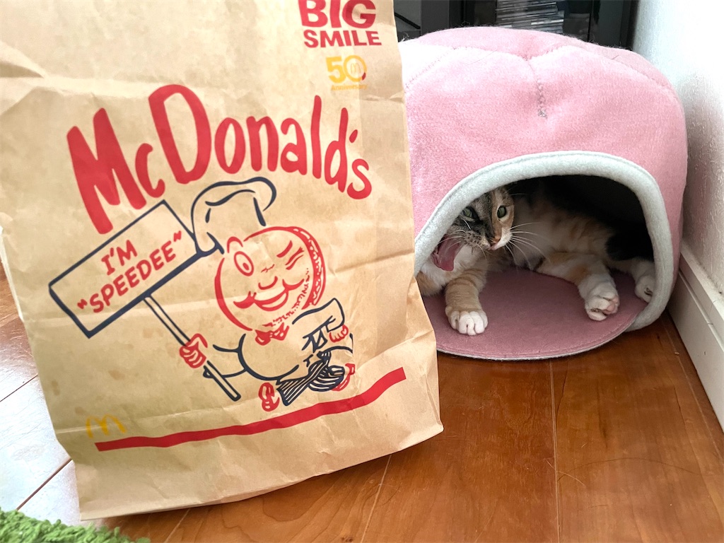 f:id:hiraryo0201:20210807230457j:image f:id:hiraryo0201:20210807230457j:image