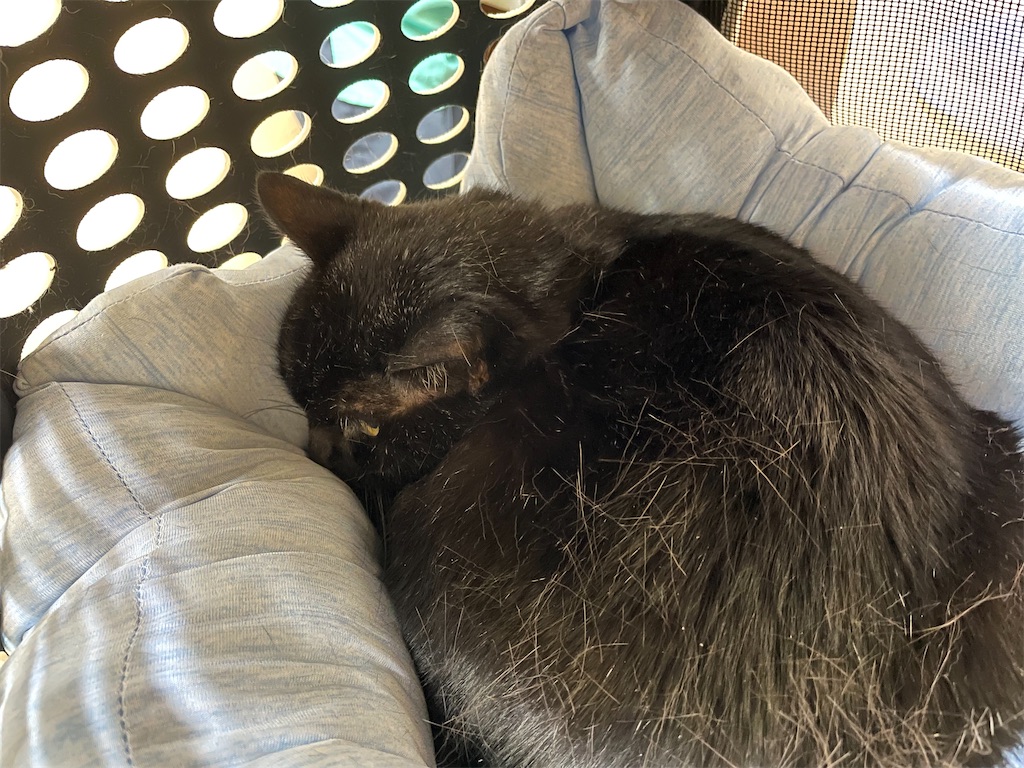 f:id:hiraryo0201:20210808070540j:image f:id:hiraryo0201:20210808070540j:image