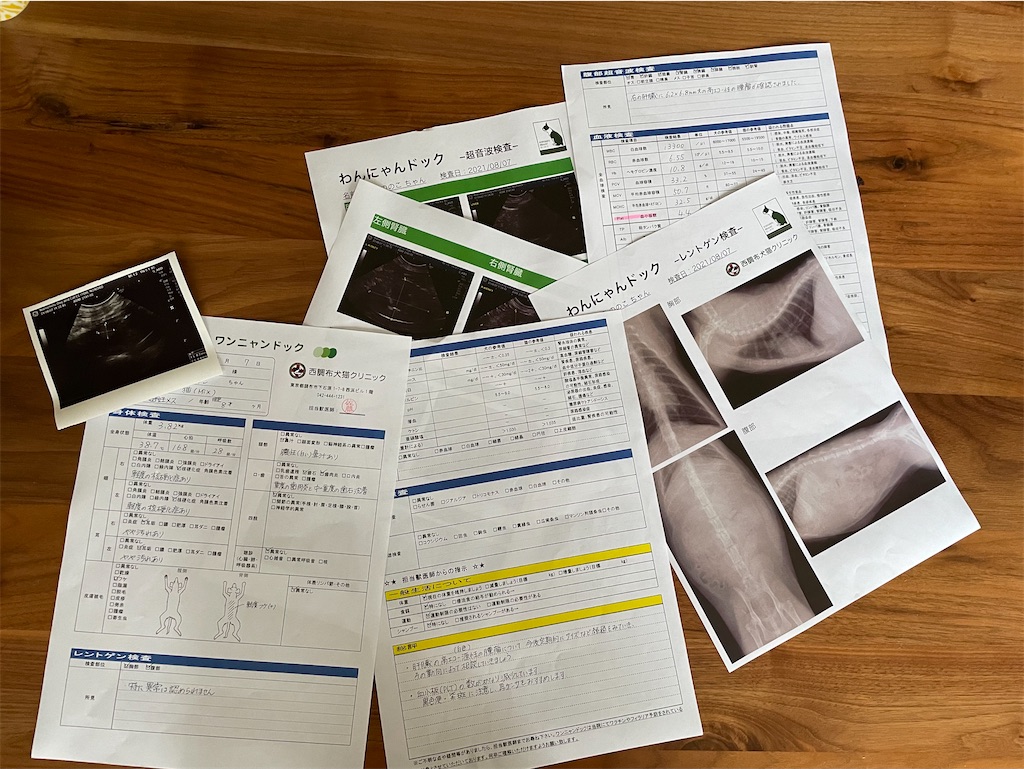 f:id:hiraryo0201:20210808191215j:image f:id:hiraryo0201:20210808191215j:image