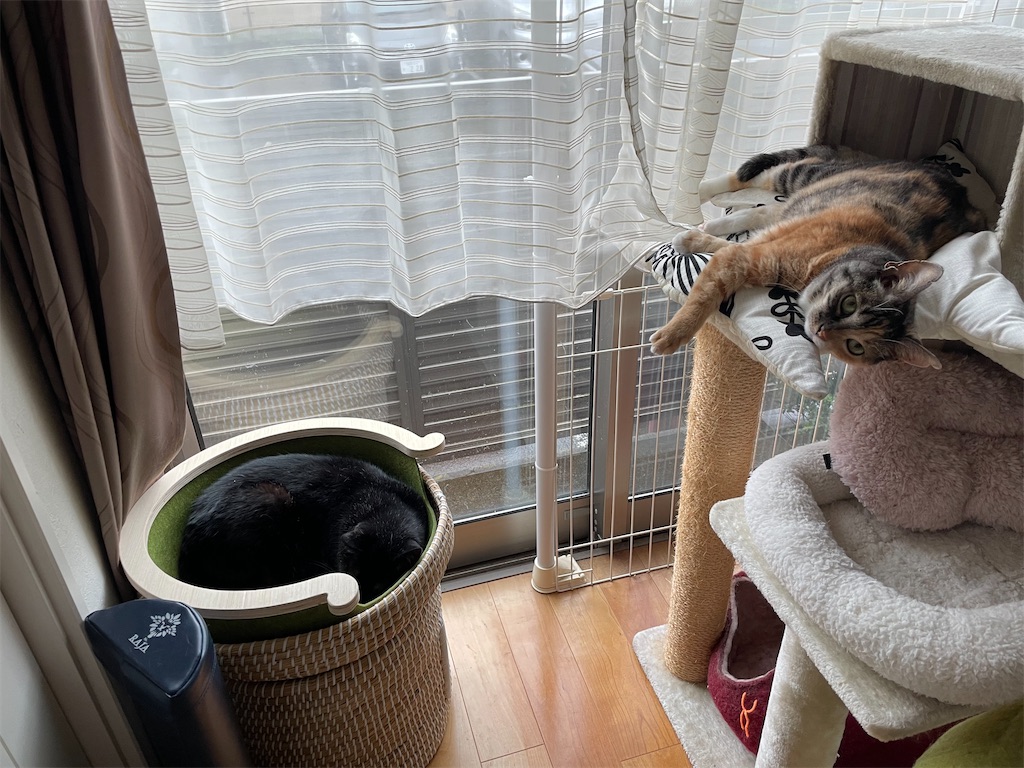 f:id:hiraryo0201:20210808192556j:image f:id:hiraryo0201:20210808192556j:image