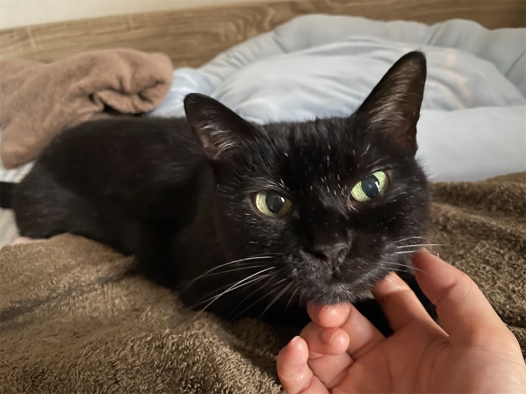 f:id:hiraryo0201:20210808192600j:image f:id:hiraryo0201:20210808192600j:image