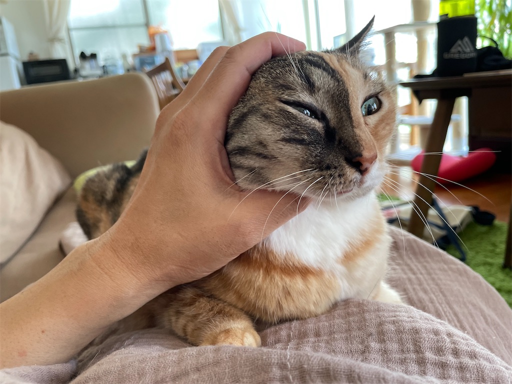 f:id:hiraryo0201:20210809152114j:image f:id:hiraryo0201:20210809152114j:image