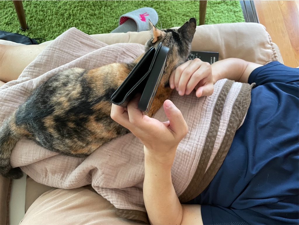 f:id:hiraryo0201:20210809155706j:image f:id:hiraryo0201:20210809155706j:image