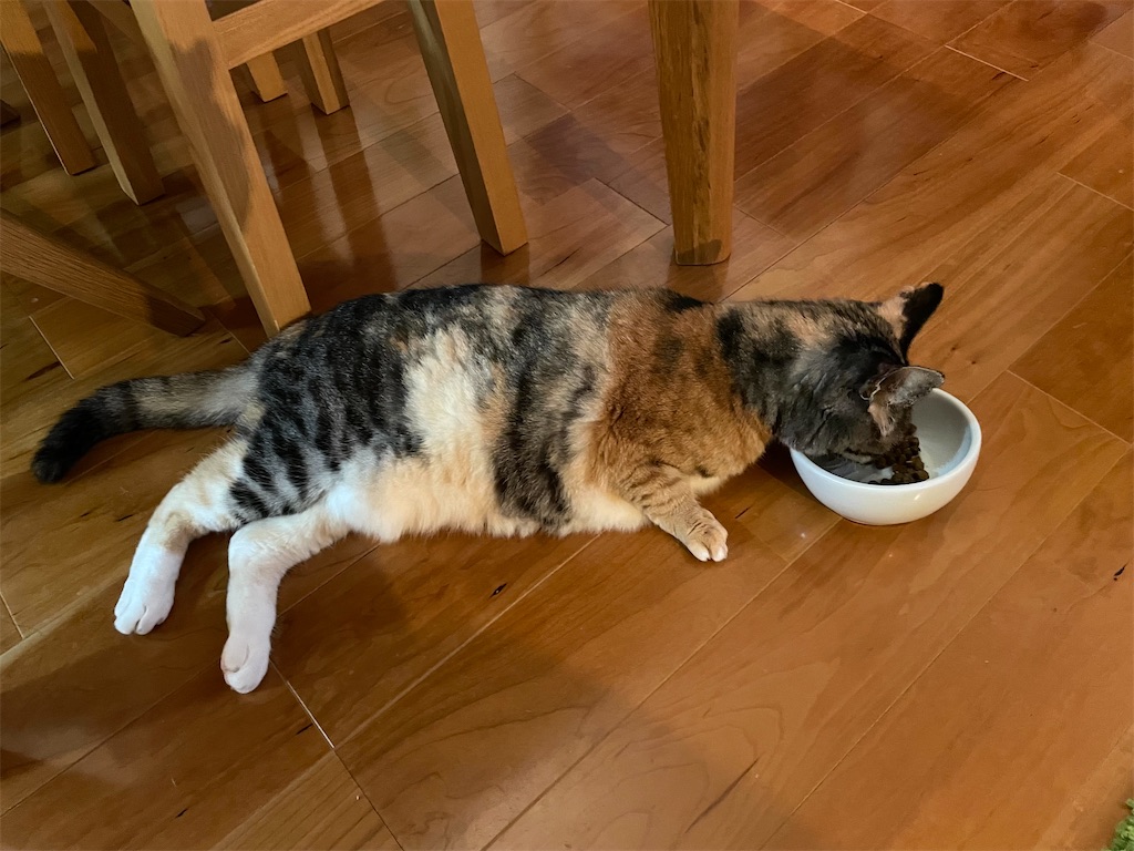 f:id:hiraryo0201:20210809214604j:image f:id:hiraryo0201:20210809214604j:image