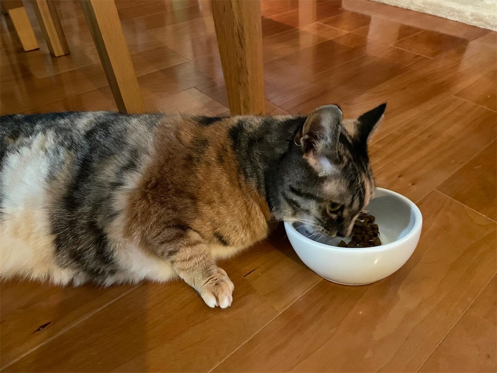 f:id:hiraryo0201:20210809214607j:image f:id:hiraryo0201:20210809214607j:image