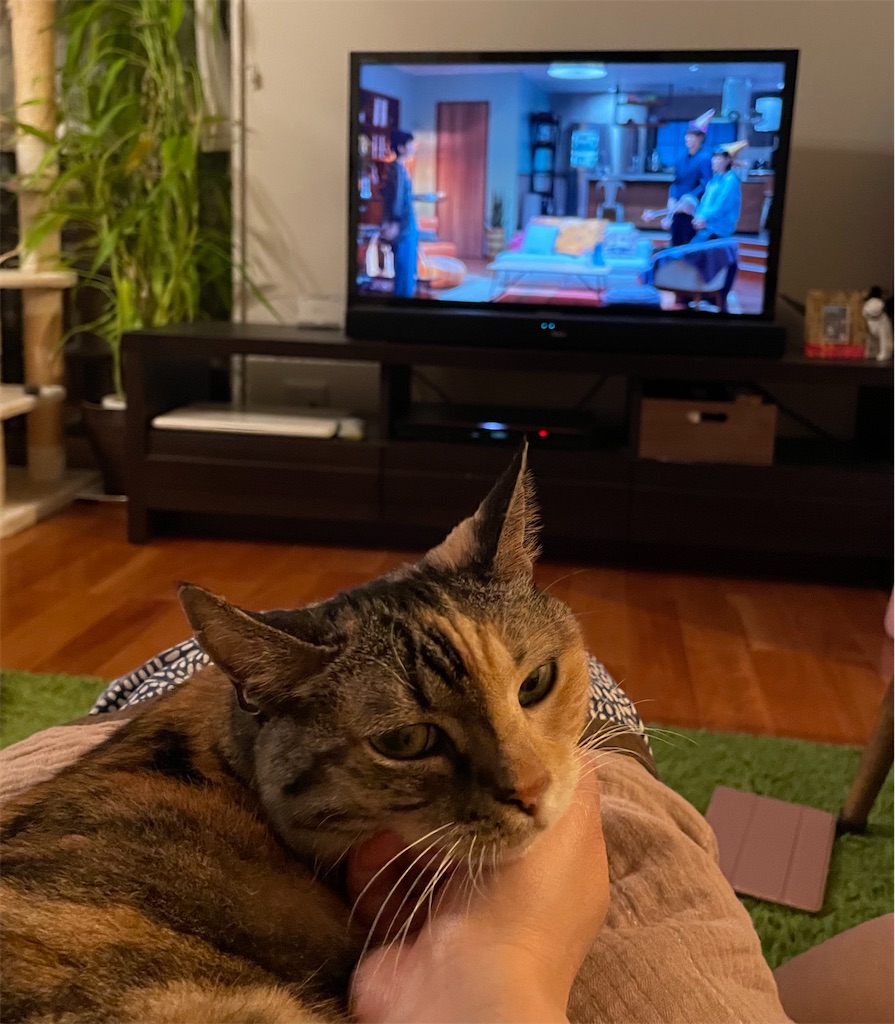 f:id:hiraryo0201:20210815070323j:image f:id:hiraryo0201:20210815070323j:image