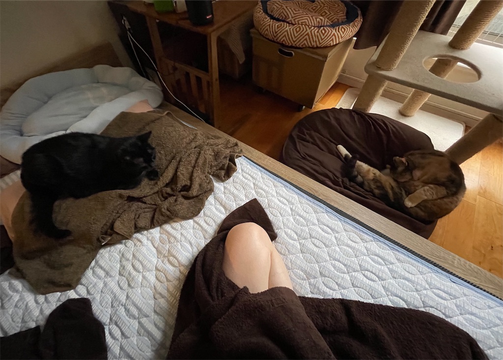 f:id:hiraryo0201:20210815121603j:image f:id:hiraryo0201:20210815121603j:image