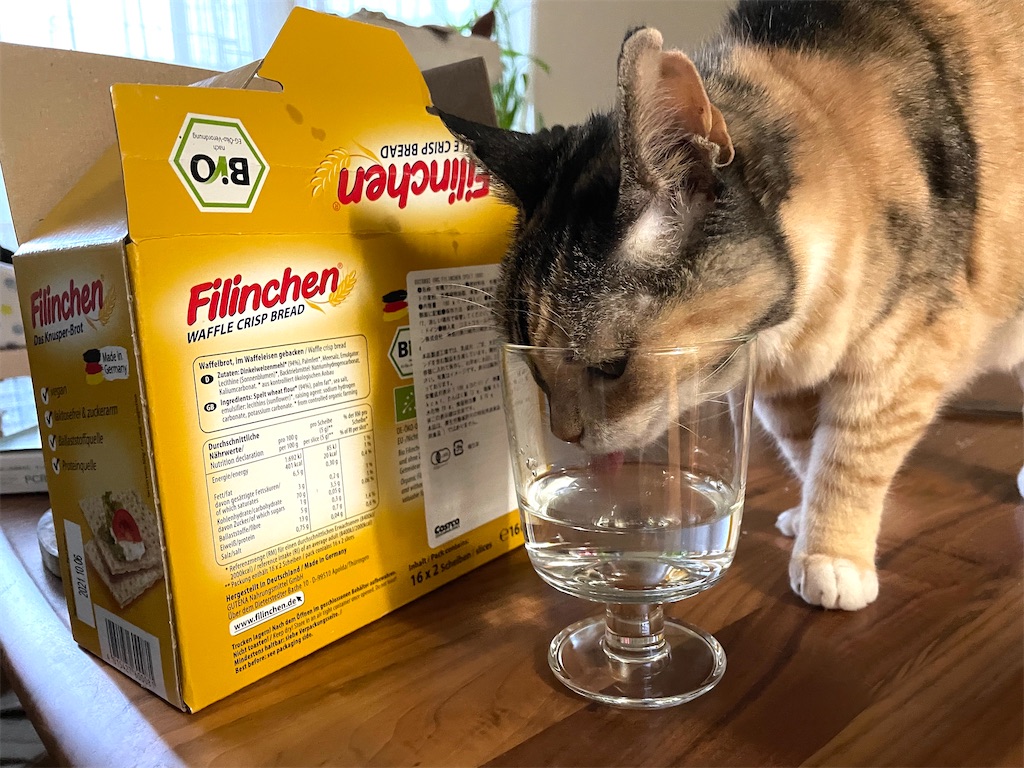 f:id:hiraryo0201:20210815203907j:image