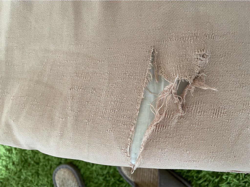 f:id:hiraryo0201:20210826071521j:image