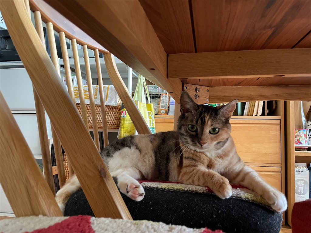 f:id:hiraryo0201:20210831164612j:image f:id:hiraryo0201:20210831164612j:image