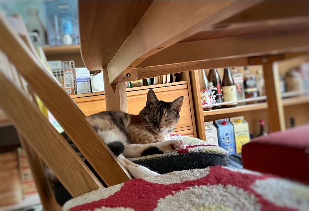 f:id:hiraryo0201:20210831164615j:image f:id:hiraryo0201:20210831164615j:image