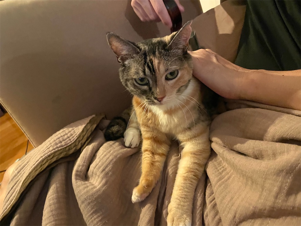 f:id:hiraryo0201:20210831221742j:image