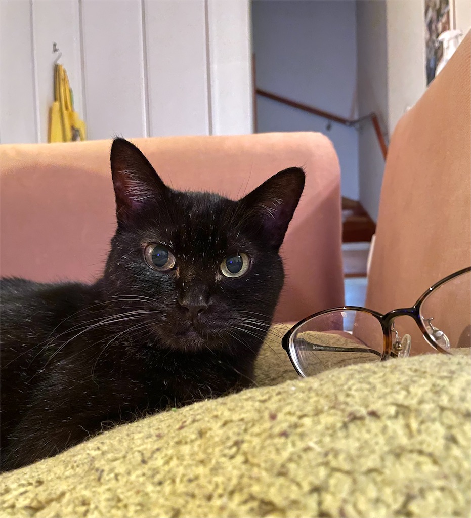 f:id:hiraryo0201:20210831221753j:image