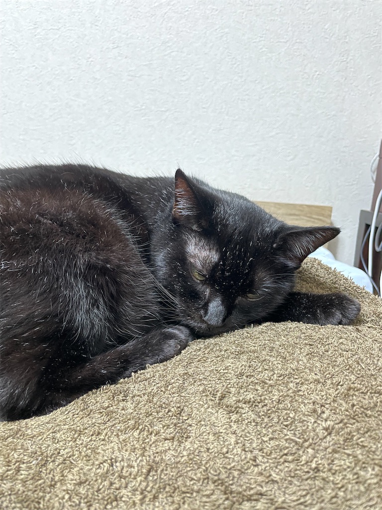 f:id:hiraryo0201:20210902215926j:image f:id:hiraryo0201:20210902215926j:image