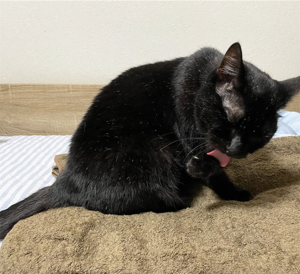 f:id:hiraryo0201:20210902215933j:image f:id:hiraryo0201:20210902215933j:image