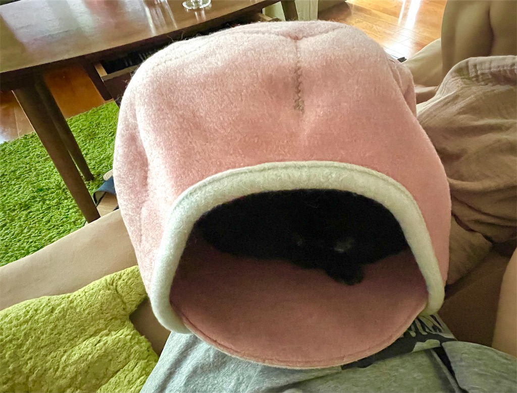 f:id:hiraryo0201:20210905094345j:image f:id:hiraryo0201:20210905094345j:image