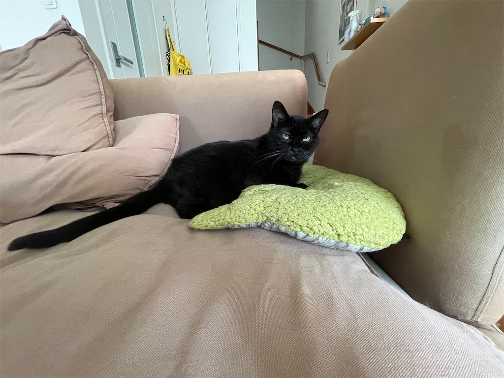 f:id:hiraryo0201:20210905164031j:image