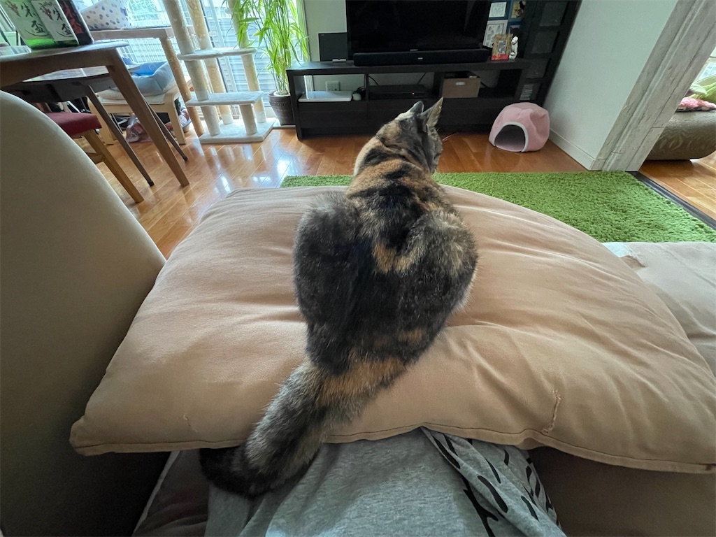 f:id:hiraryo0201:20210905164037j:image